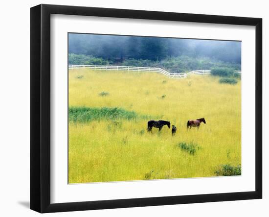 Serenity, California ‘86-Monte Nagler-Framed Photographic Print