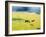 Serenity, California ‘86-Monte Nagler-Framed Photographic Print