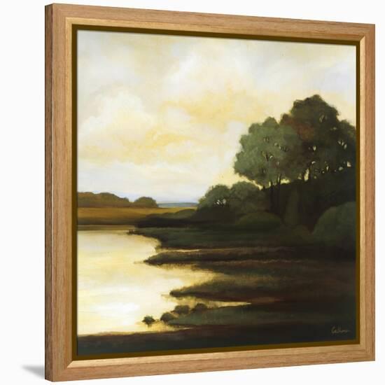 Serenity I-Mary Calkins-Framed Premier Image Canvas