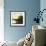 Serenity I-Mary Calkins-Framed Premium Giclee Print displayed on a wall