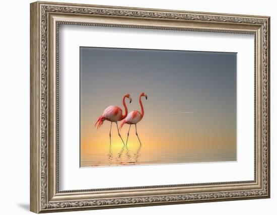 Serenity II-Anna Cseresnjes-Framed Photographic Print