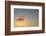 Serenity II-Anna Cseresnjes-Framed Photographic Print