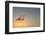 Serenity II-Anna Cseresnjes-Framed Photographic Print