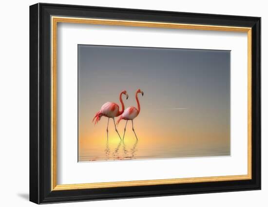 Serenity II-Anna Cseresnjes-Framed Photographic Print