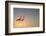 Serenity II-Anna Cseresnjes-Framed Photographic Print