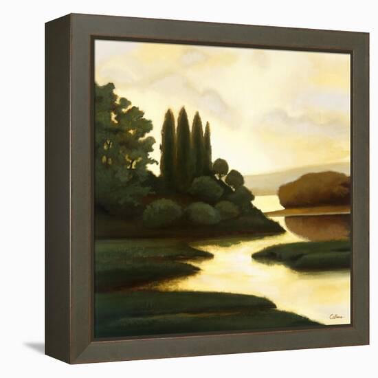 Serenity II-Mary Calkins-Framed Premier Image Canvas