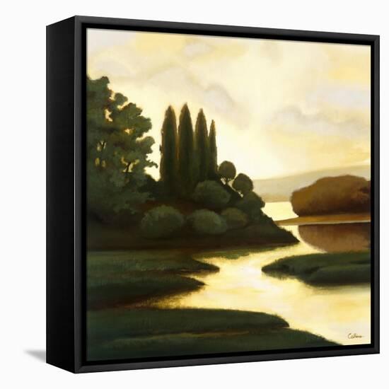 Serenity II-Mary Calkins-Framed Premier Image Canvas