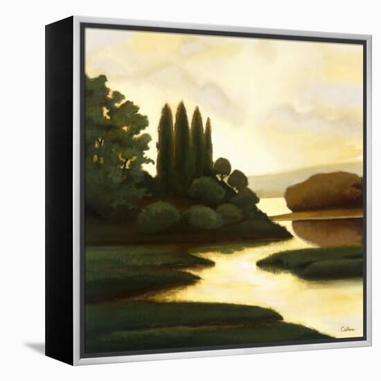 Serenity II-Mary Calkins-Framed Premier Image Canvas