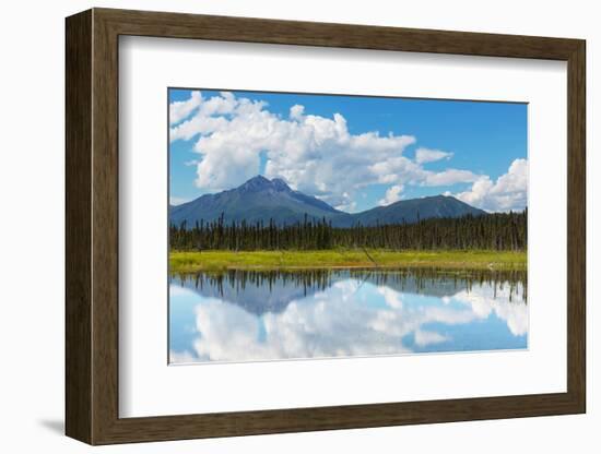 Serenity Lake in Tundra on Alaska-Andrushko Galyna-Framed Photographic Print