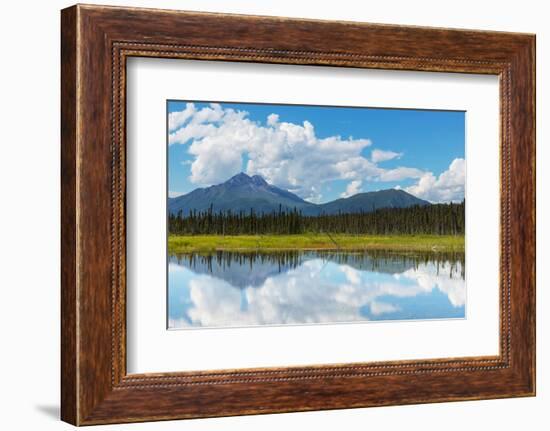 Serenity Lake in Tundra on Alaska-Andrushko Galyna-Framed Photographic Print