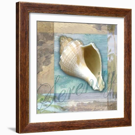 Serenity Shell-Todd Williams-Framed Art Print