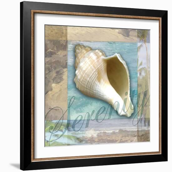 Serenity Shell-Todd Williams-Framed Art Print