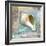 Serenity Shell-Todd Williams-Framed Art Print