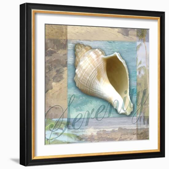 Serenity Shell-Todd Williams-Framed Art Print