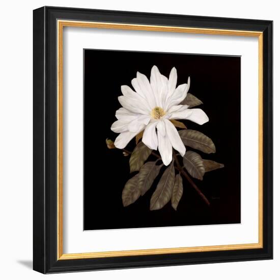 Serenity-Jan Sacca-Framed Art Print