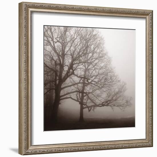 Serenity-Erin Clark-Framed Art Print