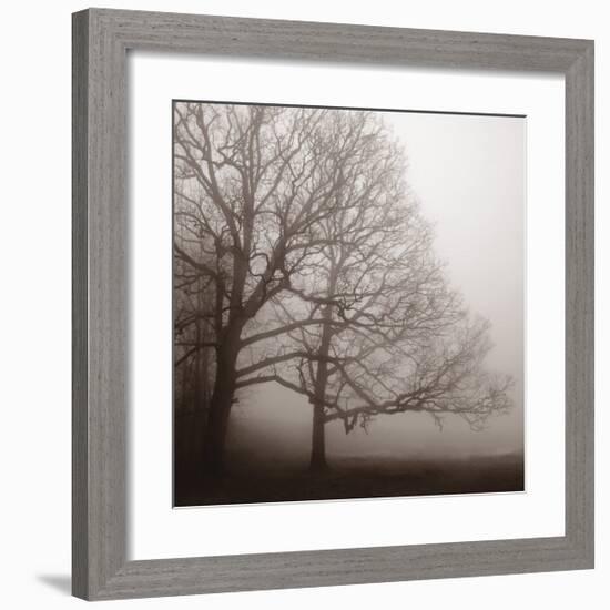 Serenity-Erin Clark-Framed Art Print