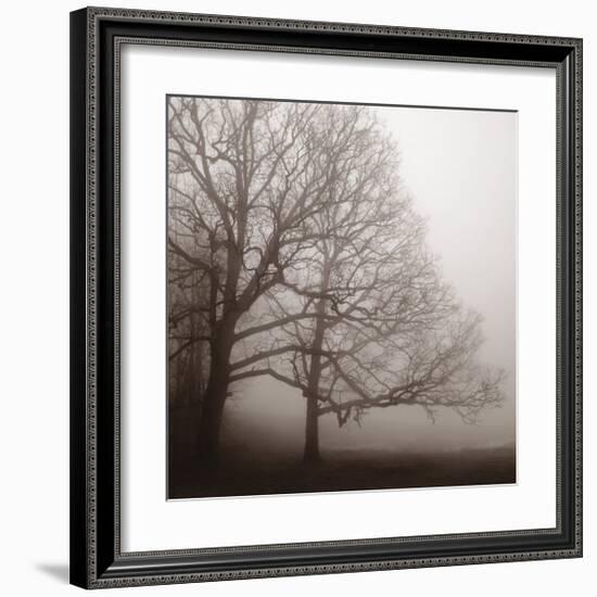 Serenity-Erin Clark-Framed Art Print