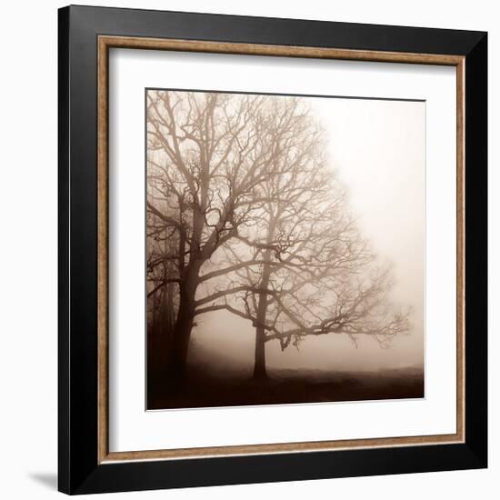 Serenity-Erin Clark-Framed Giclee Print