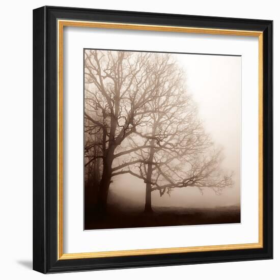 Serenity-Erin Clark-Framed Giclee Print