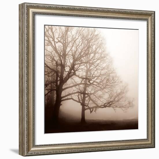 Serenity-Erin Clark-Framed Giclee Print