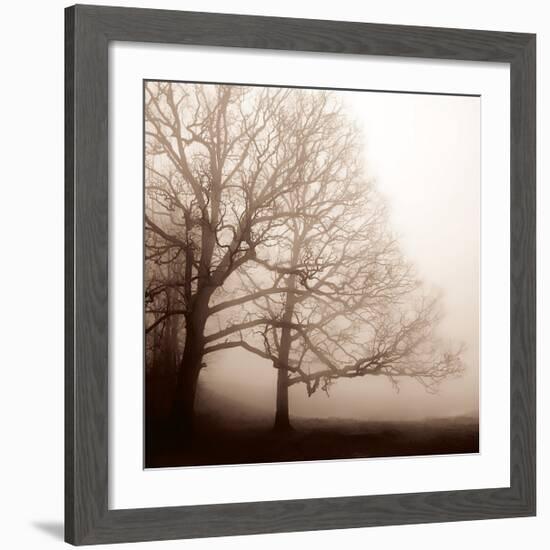 Serenity-Erin Clark-Framed Giclee Print