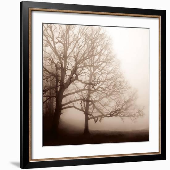 Serenity-Erin Clark-Framed Giclee Print