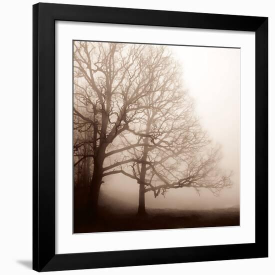 Serenity-Erin Clark-Framed Giclee Print