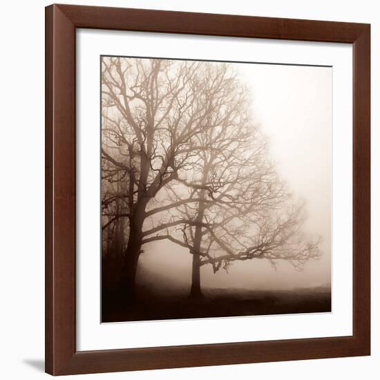 Serenity-Erin Clark-Framed Giclee Print