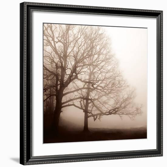 Serenity-Erin Clark-Framed Giclee Print