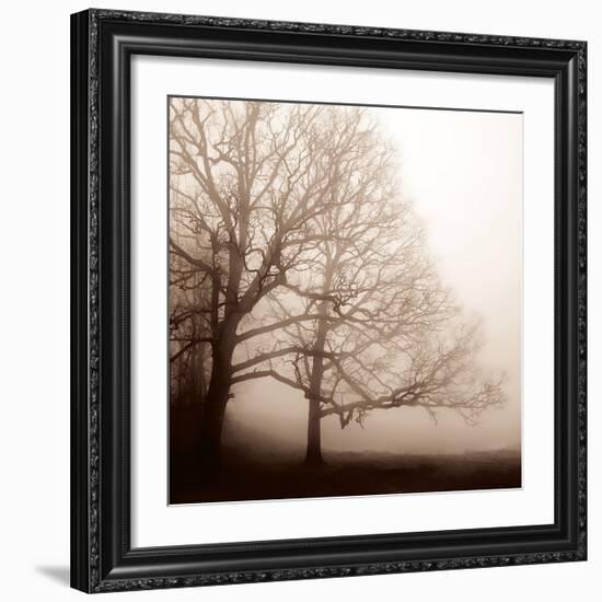 Serenity-Erin Clark-Framed Giclee Print