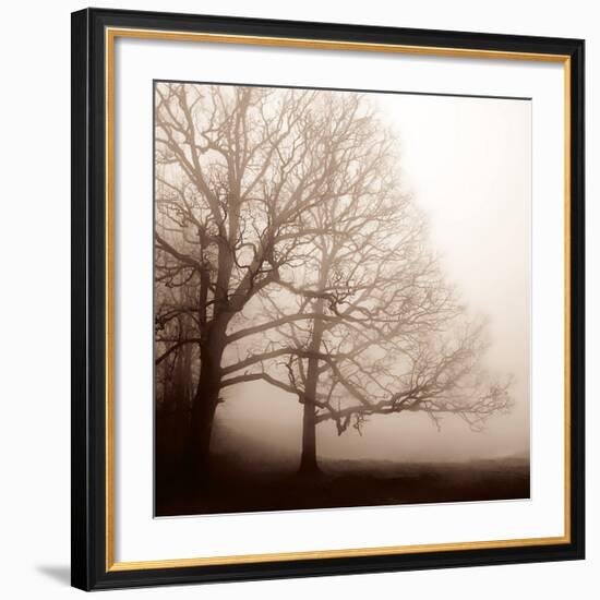 Serenity-Erin Clark-Framed Giclee Print