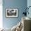 Serenity-Bill Saunders-Framed Giclee Print displayed on a wall