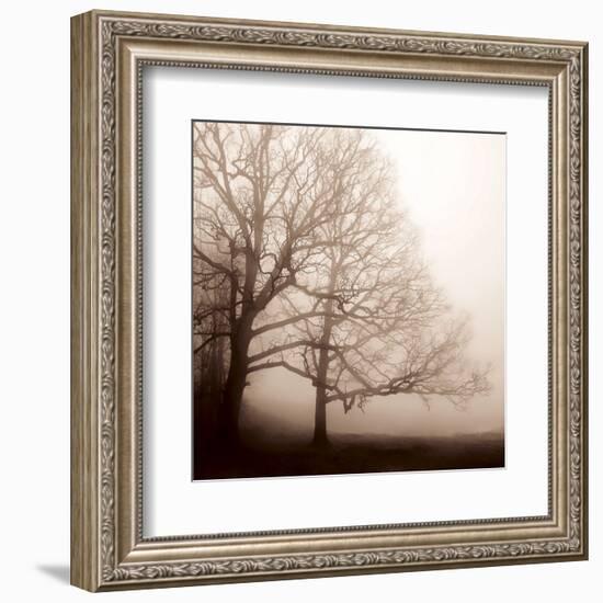 Serenity-Erin Clark-Framed Art Print