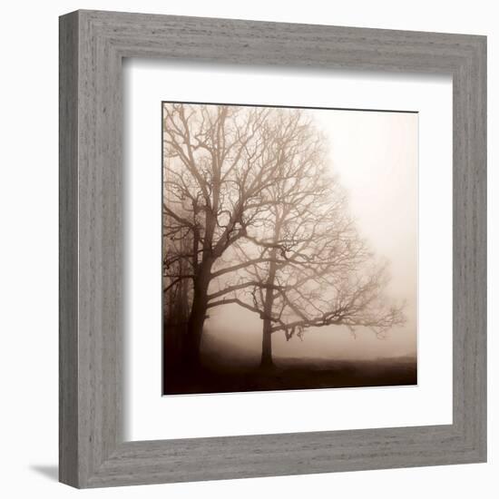 Serenity-Erin Clark-Framed Art Print