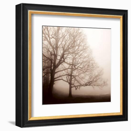 Serenity-Erin Clark-Framed Art Print