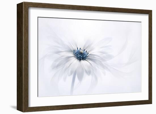 Serenity-Jacky Parker-Framed Photographic Print