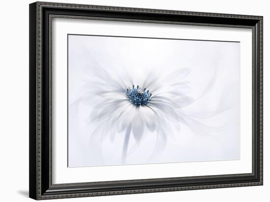 Serenity-Jacky Parker-Framed Photographic Print