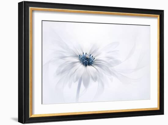 Serenity-Jacky Parker-Framed Photographic Print