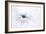 Serenity-Jacky Parker-Framed Photographic Print