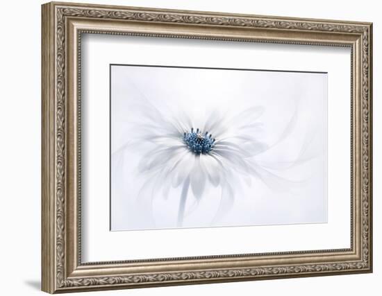 Serenity-Jacky Parker-Framed Photographic Print