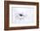 Serenity-Jacky Parker-Framed Photographic Print