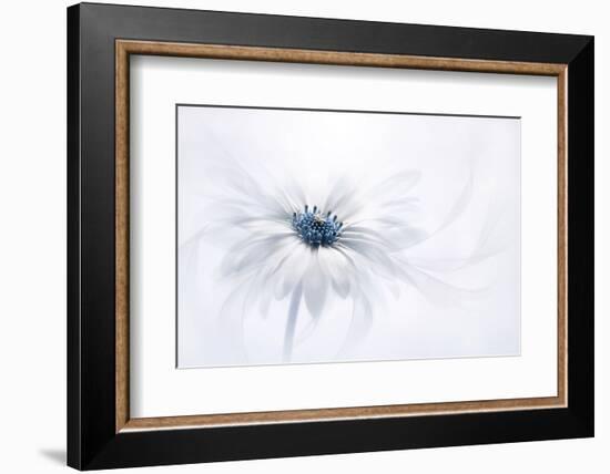 Serenity-Jacky Parker-Framed Photographic Print