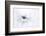 Serenity-Jacky Parker-Framed Photographic Print