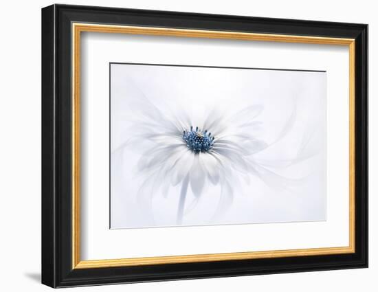 Serenity-Jacky Parker-Framed Photographic Print