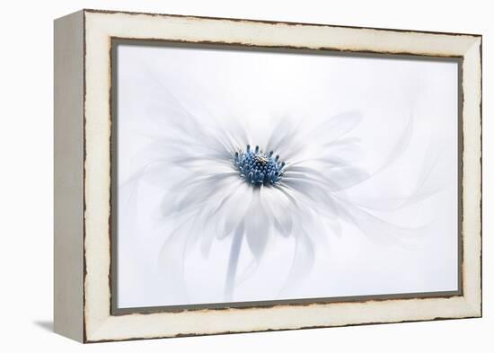 Serenity-Jacky Parker-Framed Premier Image Canvas