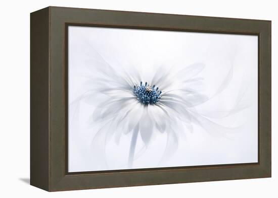 Serenity-Jacky Parker-Framed Premier Image Canvas