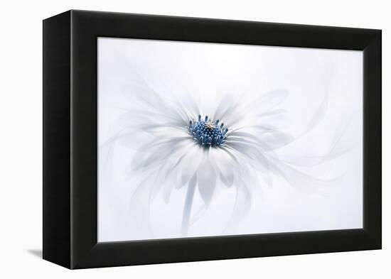 Serenity-Jacky Parker-Framed Premier Image Canvas