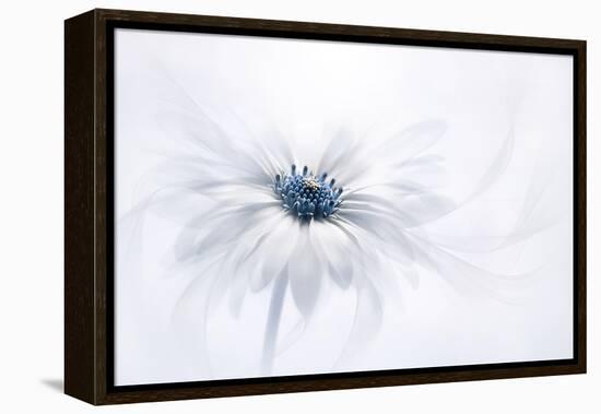 Serenity-Jacky Parker-Framed Premier Image Canvas