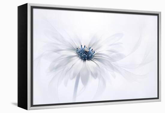 Serenity-Jacky Parker-Framed Premier Image Canvas